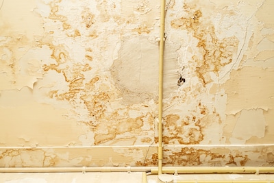 Image related to the article