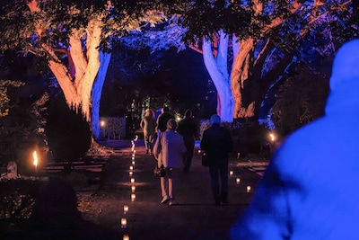 Image related to the article