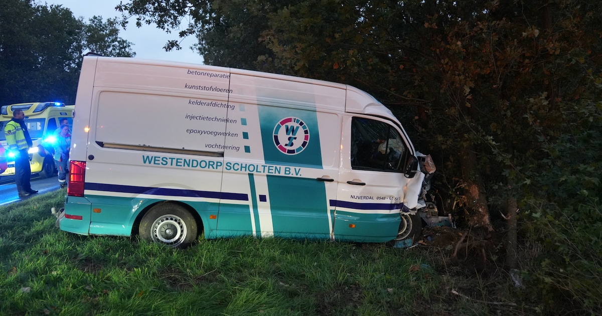 Twee gewonden nadat bestelbus tegen boom botst op N35 bij Heino