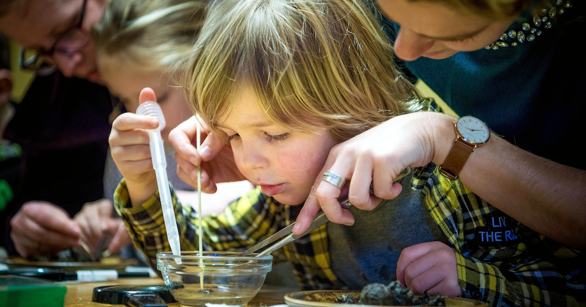 Wat zit er in een uilenbal? Kinderen kunnen dat uitpluizen in Nunspeet