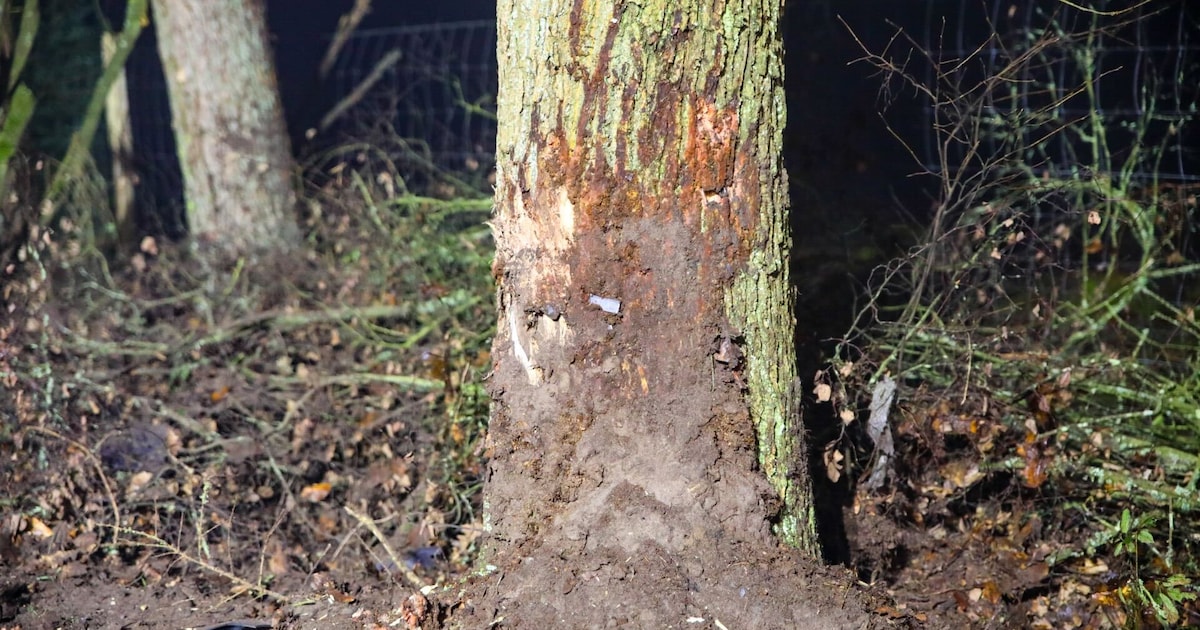 Man botst onder invloed tegen boom bij Loenen, raakt gewond en wordt aangehouden