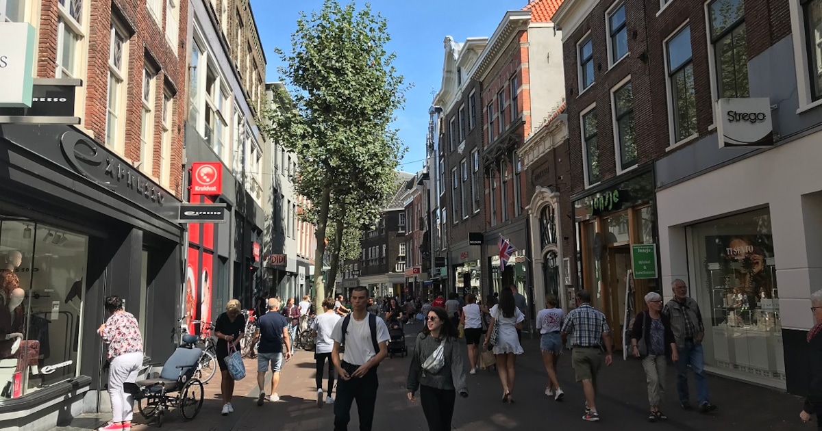 Weekendtips: deze dingen doe je in Haarlem (10-12 juli)