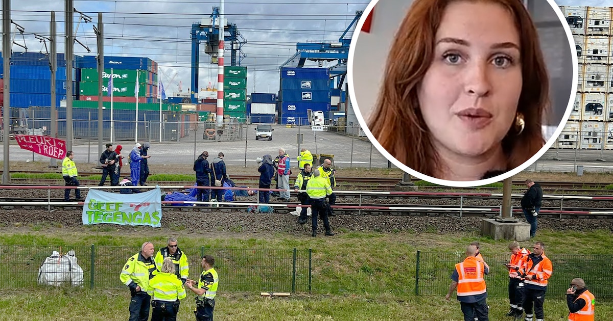 Dit is waarom actievoerders het zo gemunt hebben op de Betuweroute