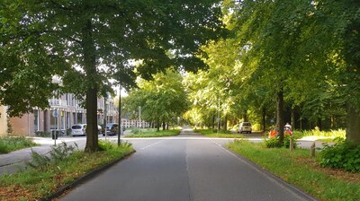 Haarlem redesigns Kleine Houtweg for more greenery and safety