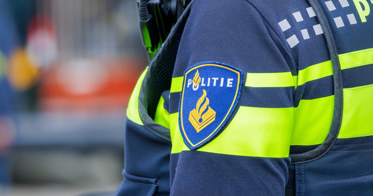 Meerdere inbraken en diefstallen in één nacht in Ommen: ‘Ze zijn op strooptocht’