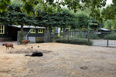 Image related to the article