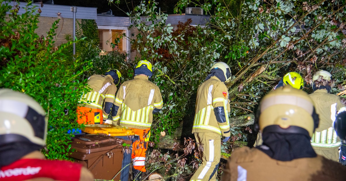 Onstuimig weer zorgt voor overlast: meerdere bomen omgewaaid in regio ...