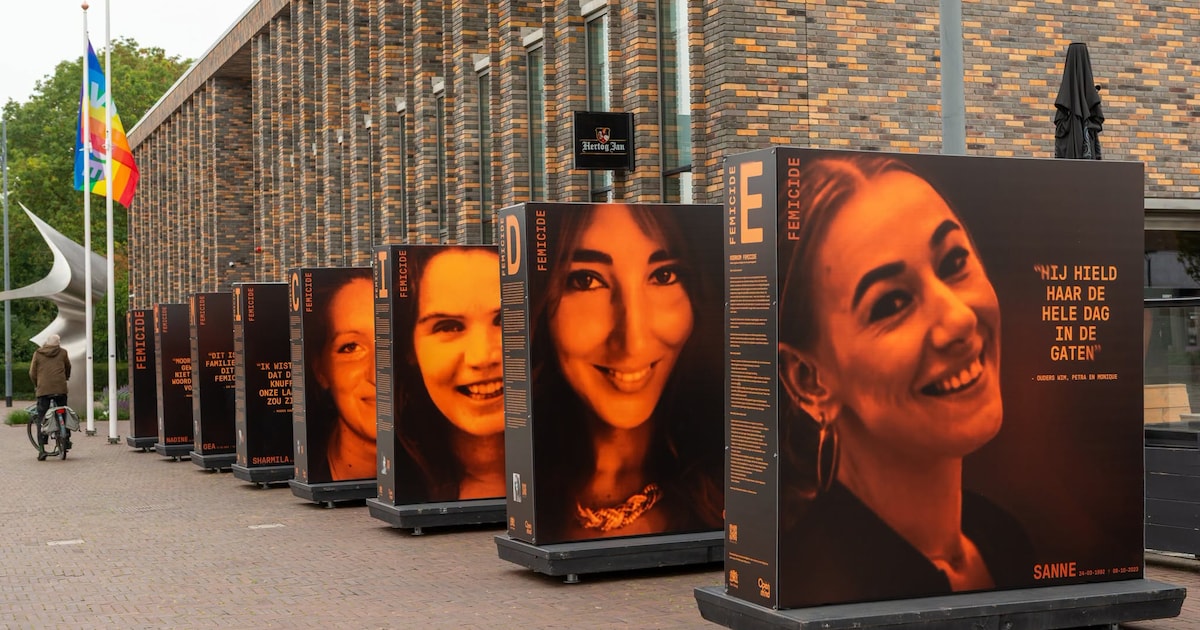 Expositie op Raadhuisplein in Hoogkarspel toont slachtoffers van femicide