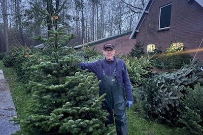 Image related to the article