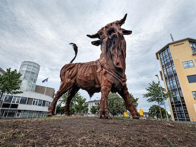 Cameratoezicht bij De Stier rond voetbalwedstrijd Nederland-Marokko