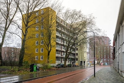 Image related to the article