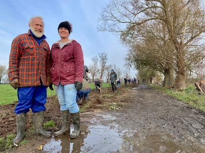 Vrijwilligers planten 500 meter heg bij boer Govert: ‘Wilg is een aspirientje voor koeien’