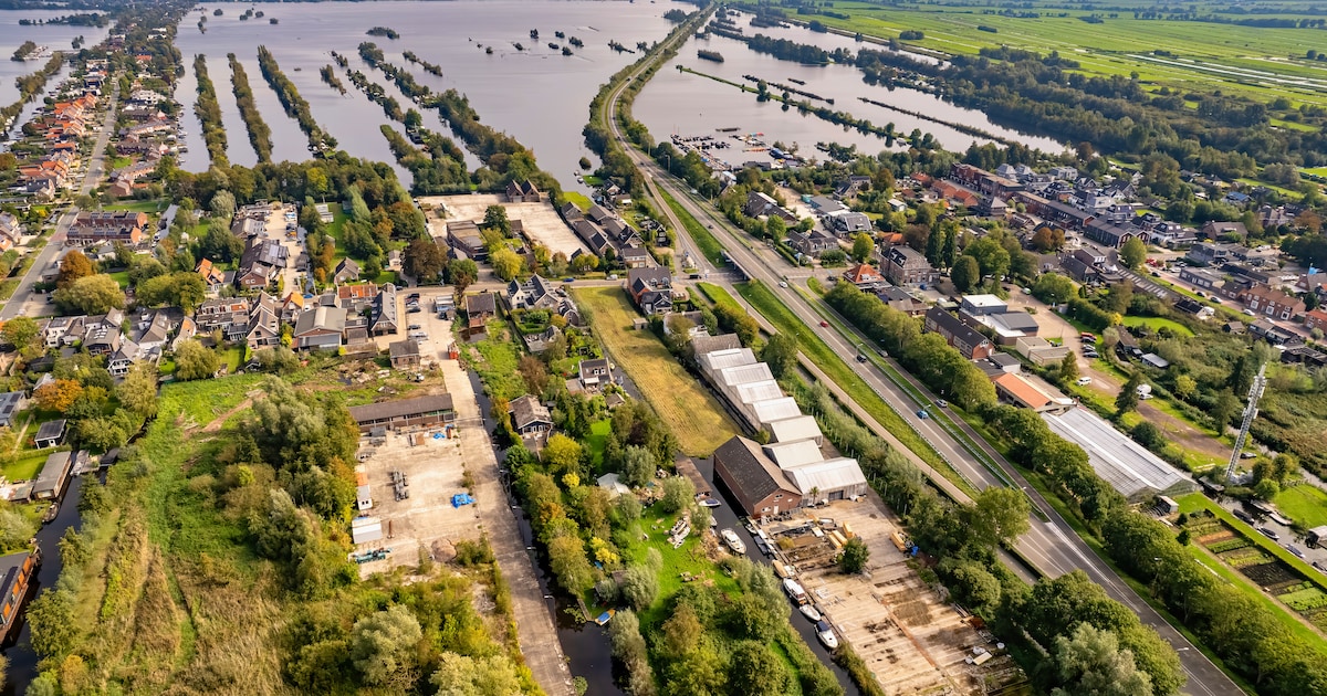 Uitgebreide nota moet stop zetten op bushalte: bewoners wijzen op geluid, drukte en natuurschade