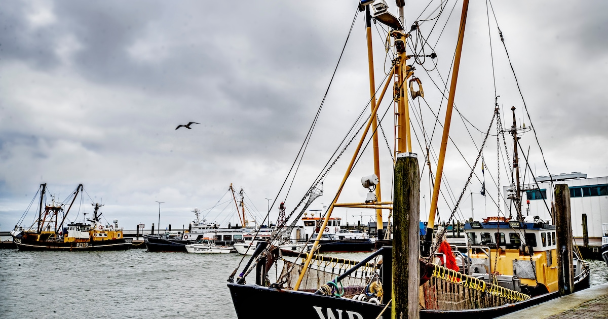 Kans om mee te varen met historische zeilschepen in Den Oever