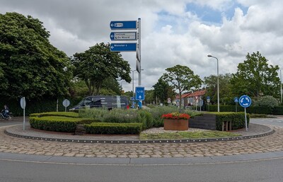Rotonde wordt flink groener met sedumbeplanting: ‘Klimaatoplossingen hoeven niet abstract te zijn’