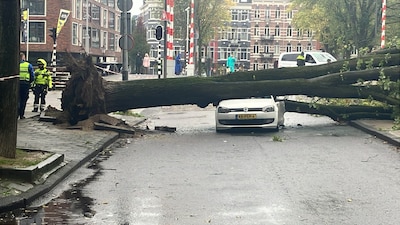 Boom valt op rijdende auto in Anne Frankstraat, bestuurder ongedeerd: ‘Hij heeft heel veel geluk geh