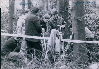 Image related to the article