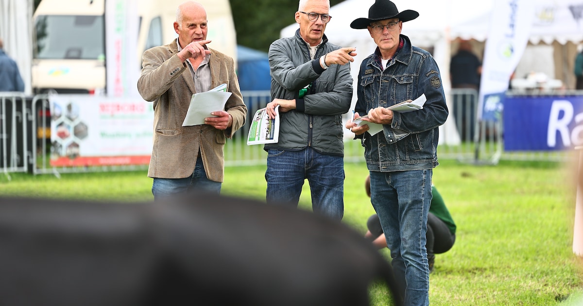 Fotoreportage: zo komt de Fokveedag in Hoornaar op stoom