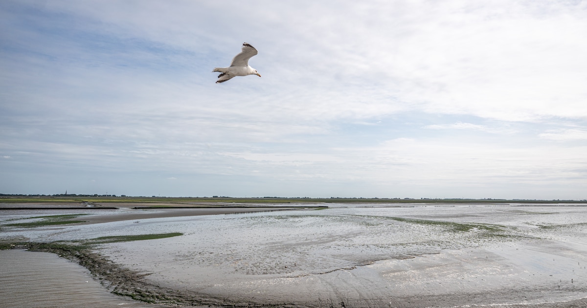Wagenborg opent aanvraagronde voor duurzame ideeën op Ameland en Schiermonnikoog