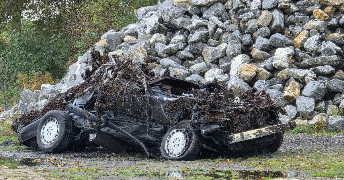 Politie vindt autowrak in IJsselmeer: ‘Kan er wel jaren gelegen hebben’