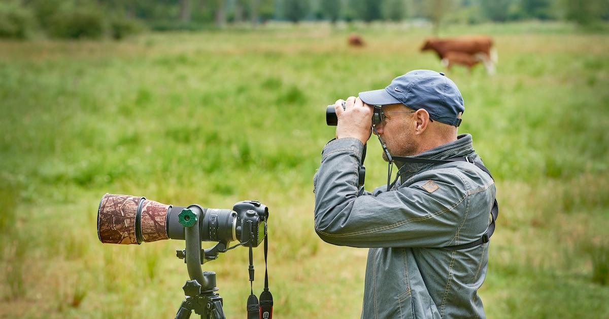 Vogels spotten en herkennen tijdens vroege-vogelexcursies in Barchem en Almen