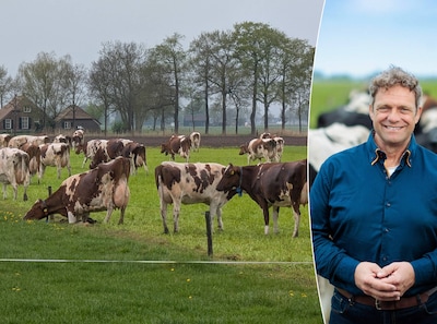 Rabobank: More years of stagnation? That will put many farmers in trouble