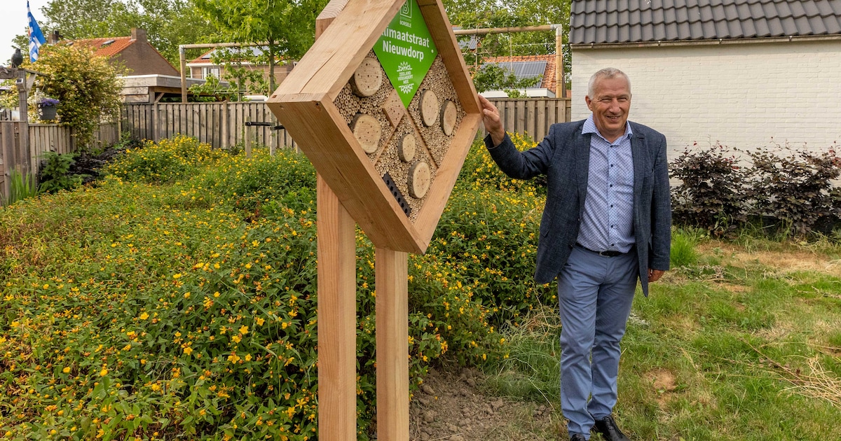 Arno Witkam lijsttrekker voor GroenLinks-PvdA in Borsele