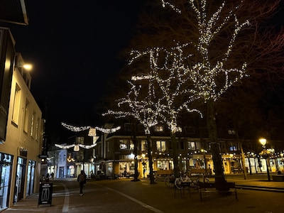 Straten vol sfeer: zo ziet de nieuwe feestverlichting in Ede Centrum eruit (video)
