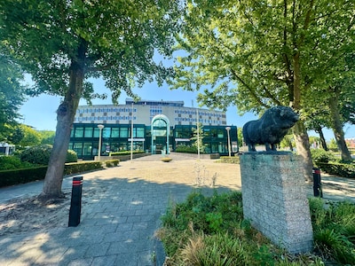 Bergen op Zoom gaat straatintimidatie aanpakken en rekent op hulp van de inwoners