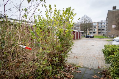 Asham (26) uit Raalte ‘in de val gelokt’ en doodgeschoten: vermeende schutter opgepakt