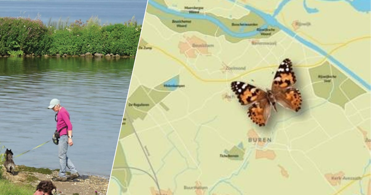 Natuur- en Vogelwacht Culemborg bestaat vijftig jaar en hoe dat is gegaan staat in een handzaam boek