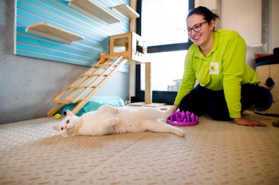 Dierenopvangcentrum Spijkenisse viert dierendag met activiteiten voor het hele gezin