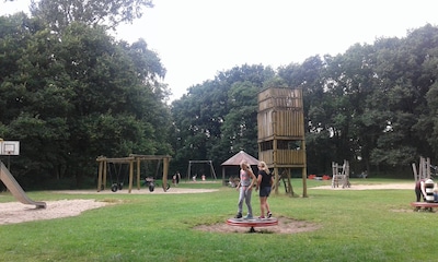 Image related to the article