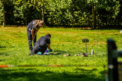 Image related to the article