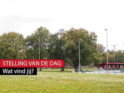 Stelling | Het behoud van beschermde bomen is belangrijker dan een nieuw trainingsveld voor FC Twent