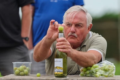 Dit bizarre WK draait om druiven en pure gelukstreffers: ‘Het is bijna niet te oefenen’