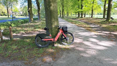 Overal rode deelfietsen in Soest: gemeente dwingt Voi tot sneller ingrijpen en duidelijkere app