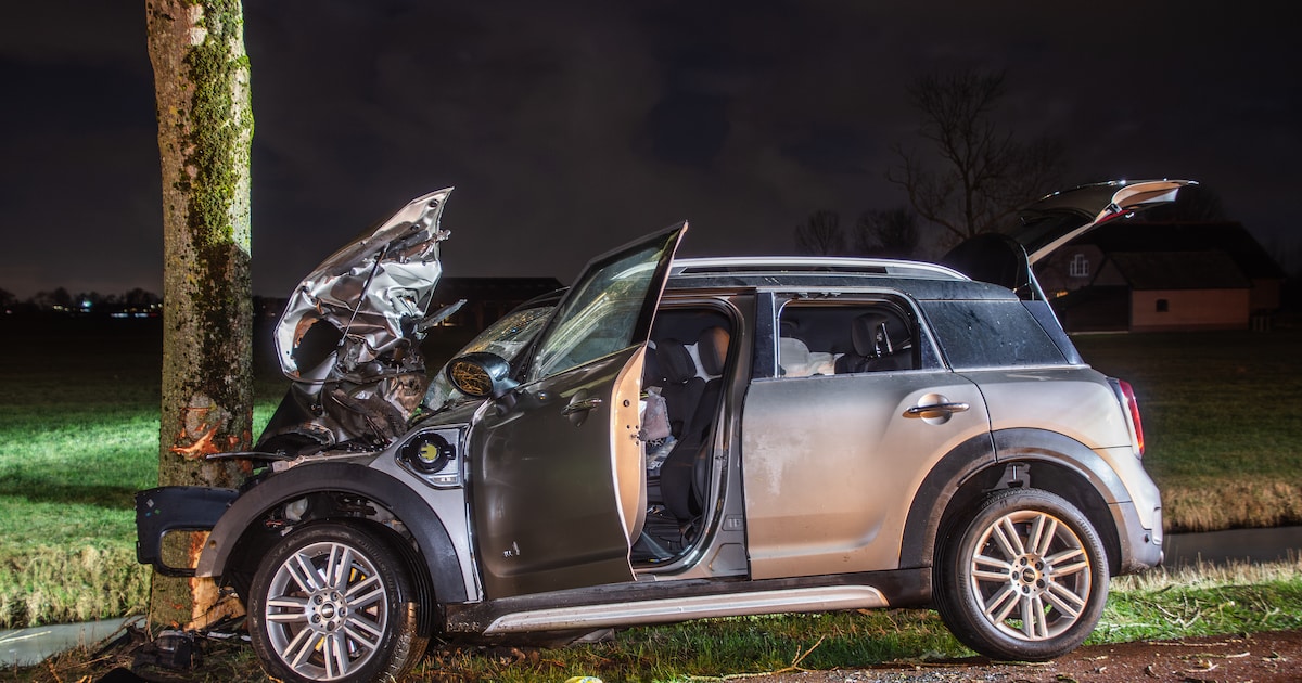 Automobilist ramt tegen boom langs N419 bij Harmelen