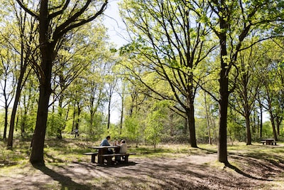Image related to the article
