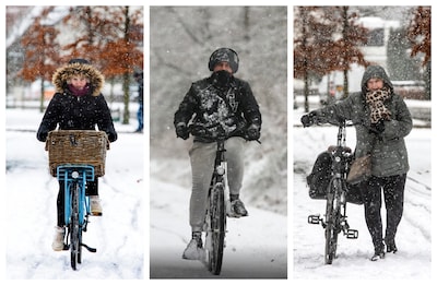 Image related to the article