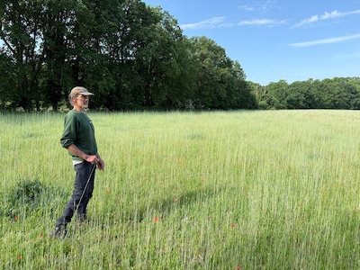 Natuurexcursies door De Zumpe starten in Doetinchem