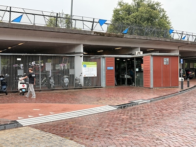 Image related to the article