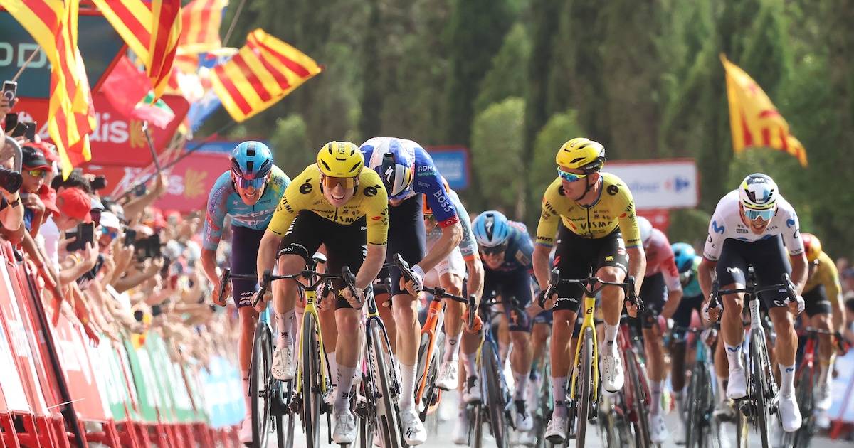 In Het Wiel | ‘Best lekker om Van Aert en Laporte als lead-out te hebben’