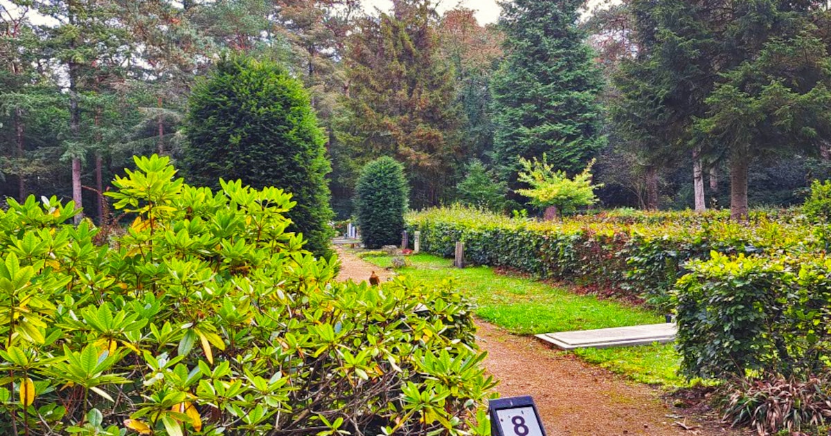 Deze vergeten begraafplaats in het bos bij Soesterberg kan meer ‘klandizie’ gebruiken