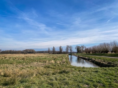 MTAwOWI3NGE3M2EyNjQxYTU3M2EvZGlvLzI2ODQwOTE4Ny9maXQtd2lkdGgvNDAw