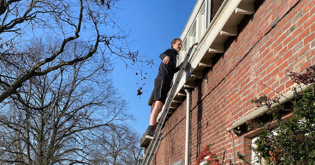 WOZ-waarde in Pijnacker-Nootdorp sinds 2023 niet zó hard gestegen