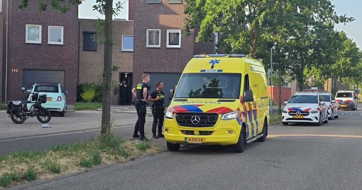 Verdachte vlucht weg na steekincident op Watermunt in Tegelen, één persoon gewond