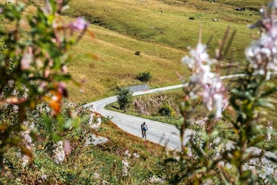 Catharina Onderzoeksfonds krijgt nieuwe naam
