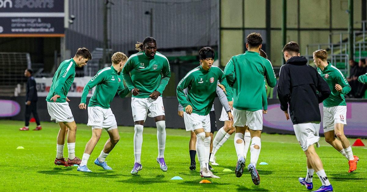 Vrijwilligers gezocht voor onderhoudsploeg FC Dordrecht