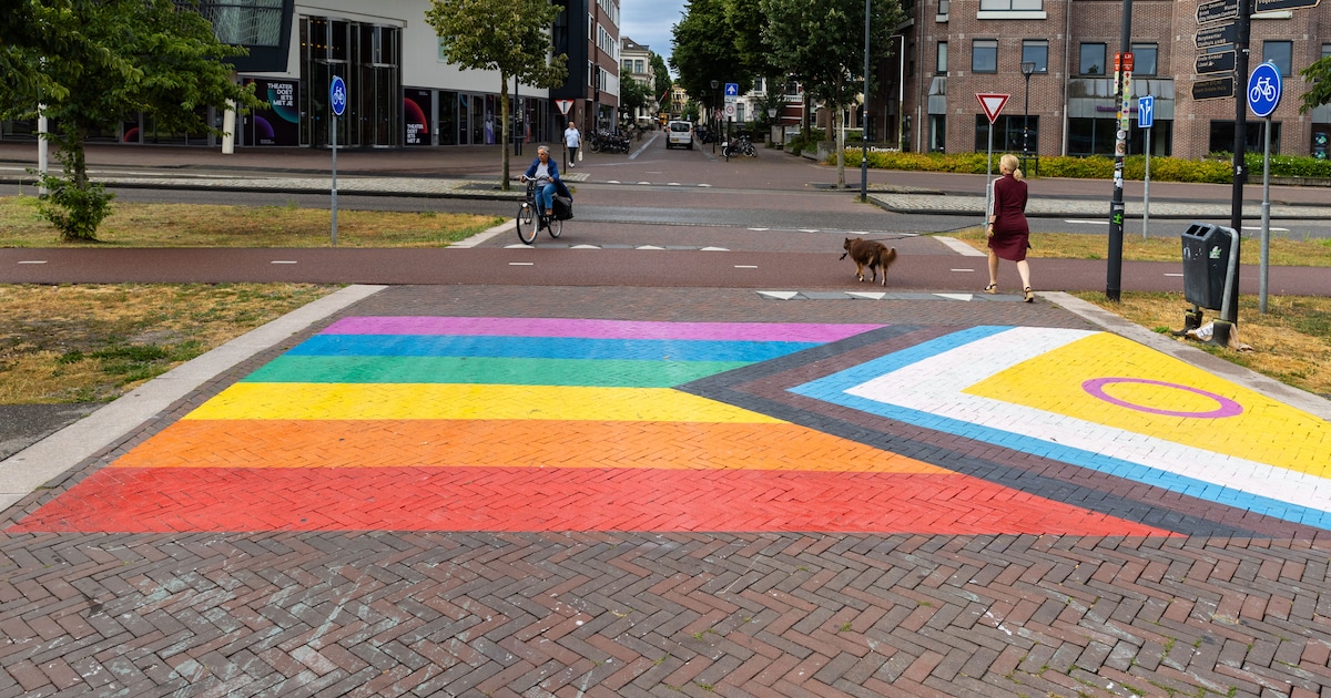 Regenboogpad Deventer werd keer op keer besmeurd, nu kan de camera weg